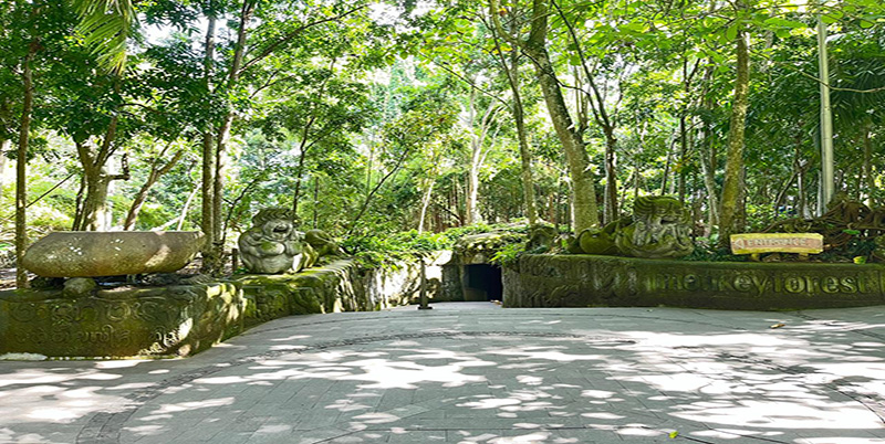 Ubud Monkey Forest