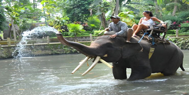 Bali Elephant Ride