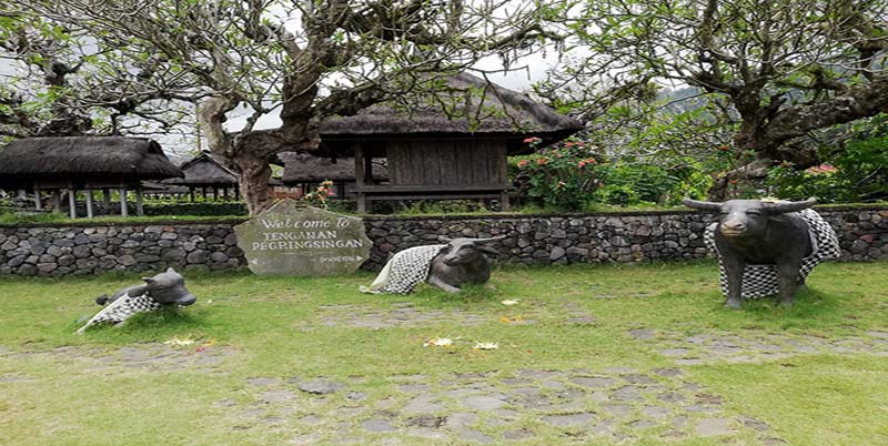 Tenganan Village